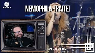 NEMOPHILA - RAITEI - Reagindo