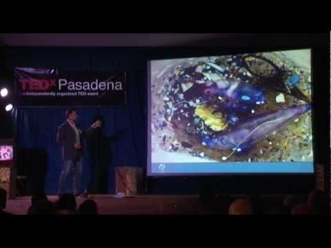 tedxpasadena---anna-cummins-and-marcus-eriksen---waste-water-treatment---5-gyres