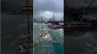 MOMENTOS ASSUSTADORES DO OCEANO REGISTRADOS POR CAMERA #shorts #viral #curiosidades #oceano