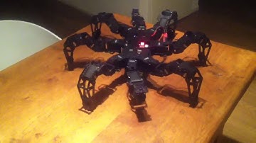 PhantomX + head & tail