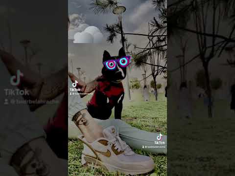 Cheb Bilal Librana Rana Nbrouh Kata