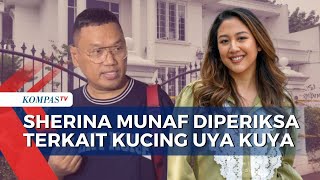 Sherina Munaf Diperiksa Polisi soal Penyelamatan Kucing Uya Kuya | KOMPAS PETANG