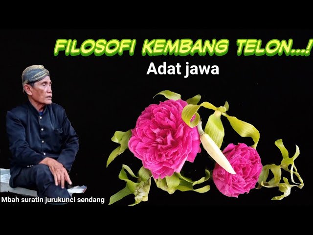 kupas tuntas filosofi kembang telon 🌹 class=