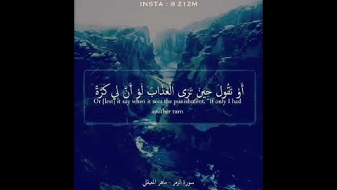 حالات واتس اب قرانية 🎤🎧القارئ ماهر المعيقلي 🌼مقطع من سورة آلزمر 🌸