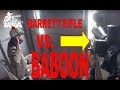 Shooting a Baboon with the Barrett 98B Fieldcraft from a Hide in South Africa