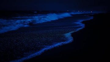 Deep Sleeping 10 Hours -  Fall Asleep In 3 Minutes With Soothing Ocean Sounds All Night Long