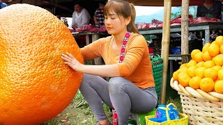 Harvest Orange Fruit Goes To Market Sell - Sell Pigs - Farm Life | Nhất New Life