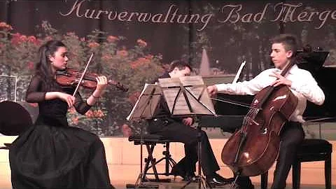 Mendelssohn Trio d-minor I Mov Molto allegro agitato