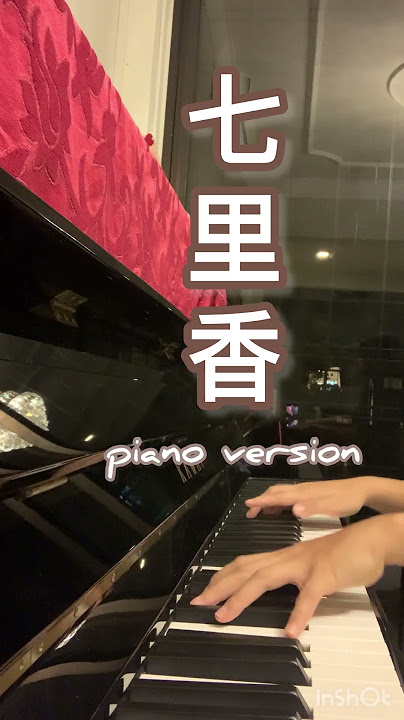 七里香| Orange Jasmine ( Piano Cover) #七里香#piano#jaychou#cpop#shorts#youtube