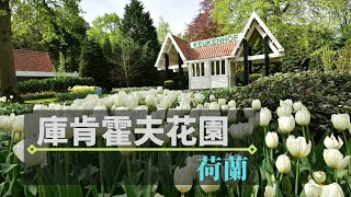 阿姆斯特丹鬱金香花季｜庫肯霍夫花園鬱金香花季一日遊 ... 