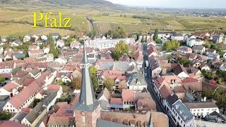 Deidesheim Pfalz Wijnreizen