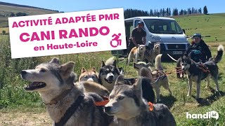 Activité adaptée PMR et handicap | Cani rando en Haute-Loire avec Marzoé Nature