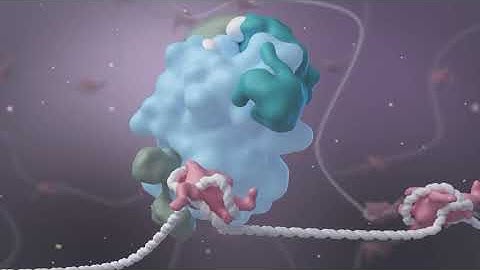 Epigenetic Regulation and Metabolism Alteration