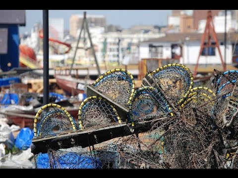 Ballad of the Maine Lobsterman