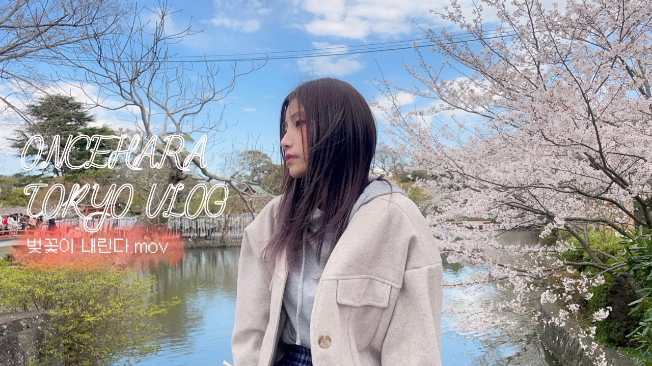 도쿄사는일상ㅣ가마쿠라 에노시마 절망편😞ㅣ알바 작별ㅣ도쿄 벚꽃 스팟은 모조리 모았다🌸
