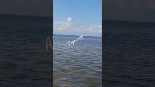Путешествие по Эстонии #сильныеженщины #женскаяистория