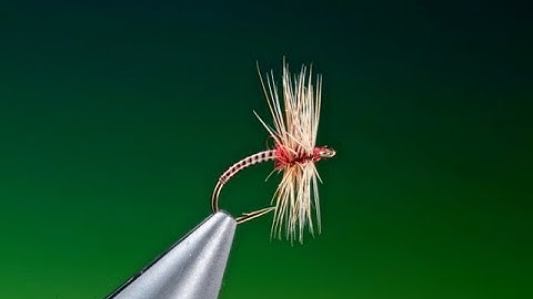 Fly Tying a Pay Day Midge with Barry Ord Clarke