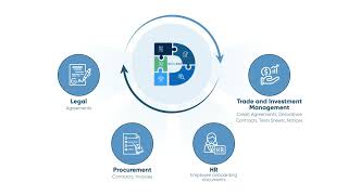 Steps for Enhancing Document Lifecycle Management with DocIntel