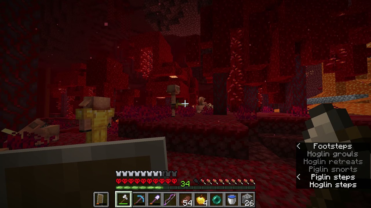 [Minecraft] Piglin riding a hoglin?!?! - YouTube