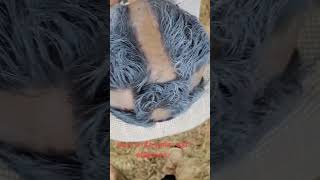 Sakkigoni New Episode Nepali Comedy Serial Arjun Ghimire Pade Jpt Creation