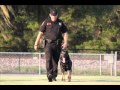 K9 Care Program Lakeland Florida K9 Care Program Lakeland Florida