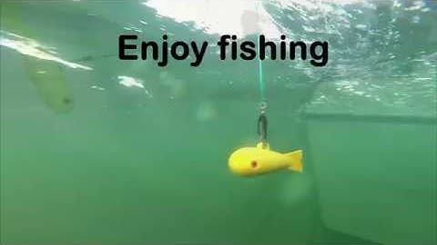 Bottom Seeker Downrigger Weight