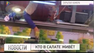 Съемочная группа телеканала Мой город провела контрольную закупку готовых салатов Съемочная группа телеканала Мой город провела контрольную закупку готовых салатов