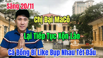 Sáng 20/11 Chị Đại Macô Tiếp Tục Xộn Lào Cá Bóng Bi Like Bụp Nhau