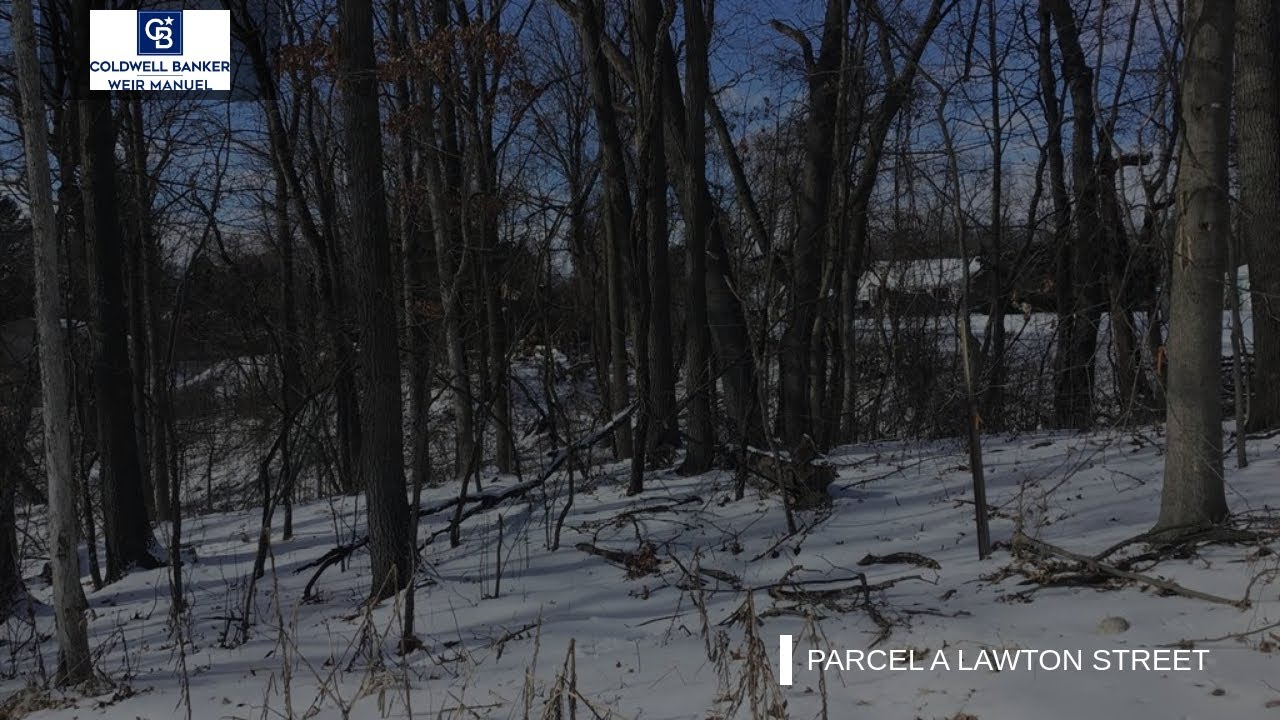 Parcel A Lawton Street Ionia Twp Real Estate YouTube