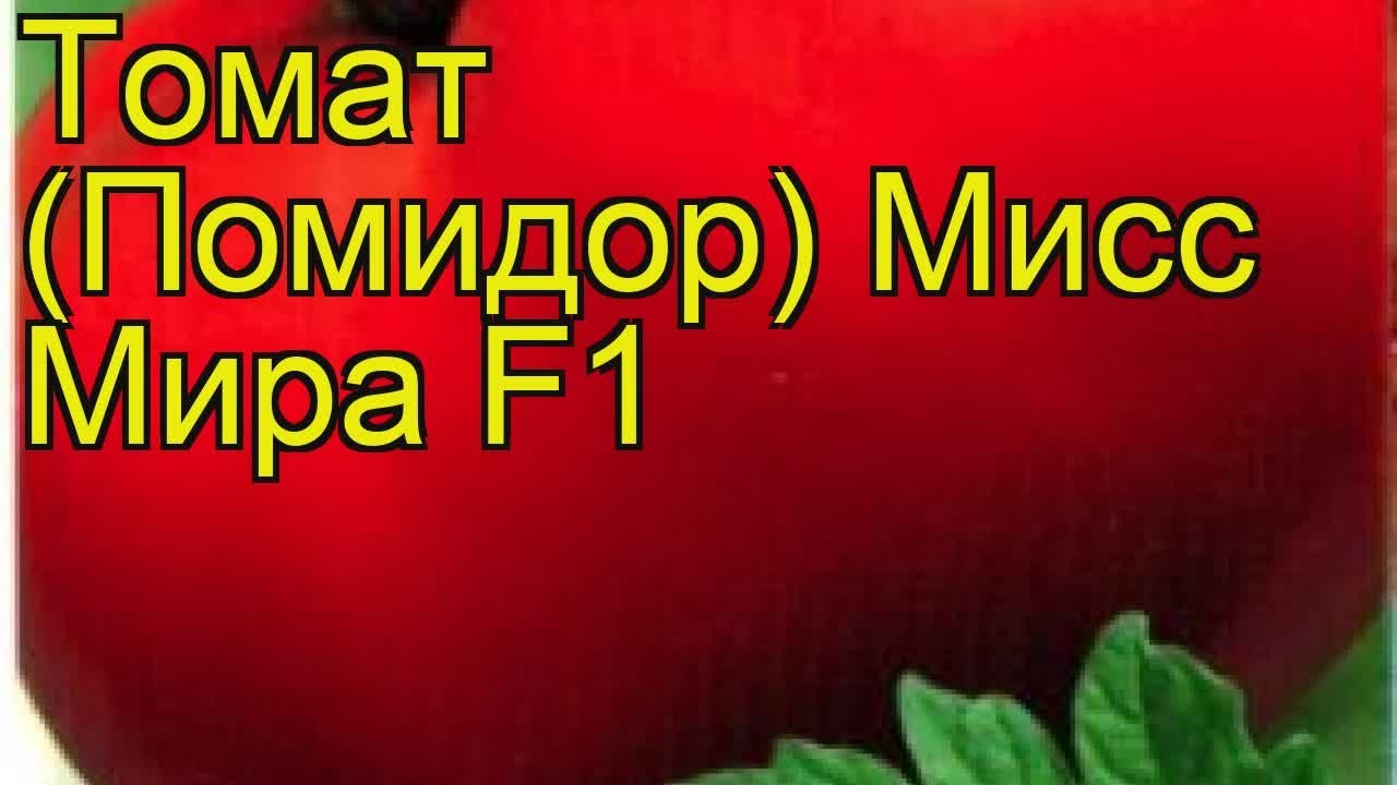 Томат озеро надежды характеристика и описание сорта Томат озеро надежды характеристика и описание сорта