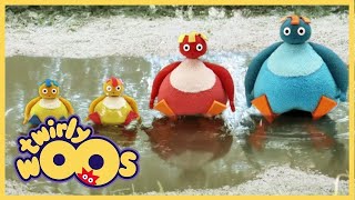 Twirlywoos Türkçe Üzerinde Sezon 1 Bölüm 11 Çocuklar İçin Çizgi Filmler
