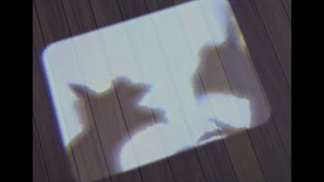 MultiVersus - Stripe Reveal