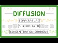 Mastering Diffusion: Key Concepts and Applications in Biology and Chemistry
