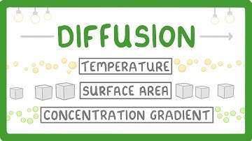 What is Diffusion? How Does it Work? What Factors Affect it? (2026/27 exams)