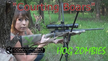 Calling Boars With Boar Specific Sounds