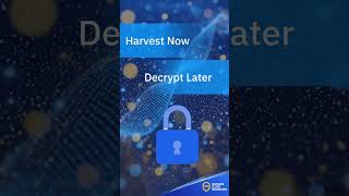 New Post-Quantum Cryptography Content | Secure Code Warrior