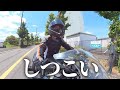 バイク女子に期待しないでください【切実】