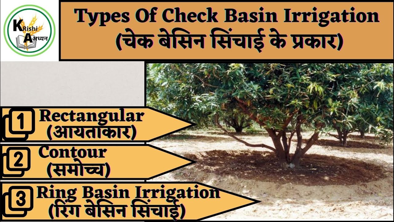 Types Of Check Basin Irrigation (चेक बेसिन सिंचाई के प्रकार) # ...