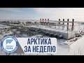 Арктика за неделю: ПМЭФ 2021, «Бухта Север», якутские инициативы