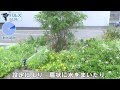 水やりに便利！タカギ 園芸散水用スプリンクラー