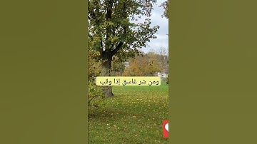 سورة الفلق بصوت القارئ مصطفى الفرجاني