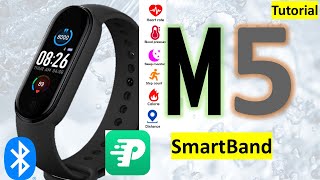 SmartBand M5 | Tutorial Con FITPRO en Español