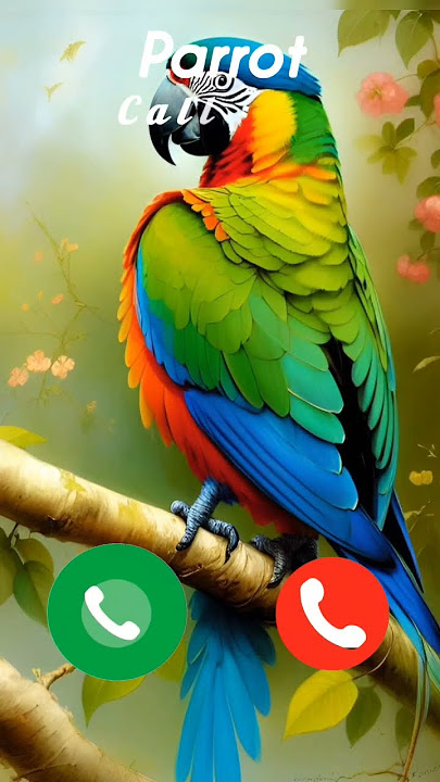 #ringtone #ring #ringtones #nadaderingtelepon #rabbits #rabbit #iphone #smartphone #parrot