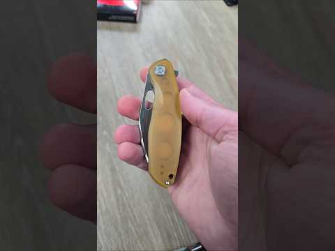 The Shillin, the ultimate EDC