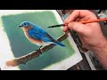 How to paint a bird  acrylic painting