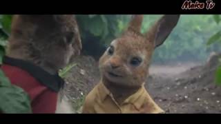 Peter rabbit imetafsiliwa kiswahili funny clip