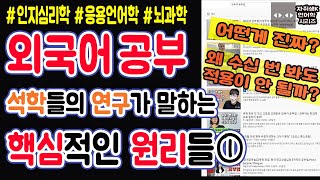 [ Ryu-와 언어학] 04 3편으로 끝내는 언어학습법의 모든 것 (feat.응용언어학/ 뇌과학/ 인지심리학)