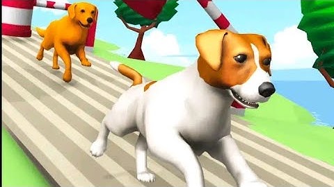 Dog Run 3D Gameplay Walkthrough All Levels iOS,Android Level 21 #shorts#Dogrun#Dog#3D