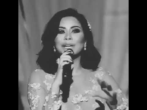 مع سلامه حبيبي