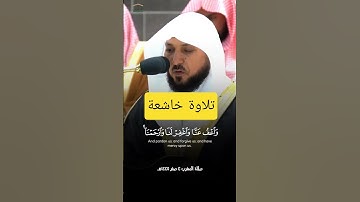 تلاوة خاشعة لخواتيم البقرة ~ الشيخ ماهر المعيقلي